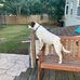 Nick Reardon - Facebook