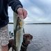 Nick Reardon - Facebook