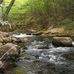 Nick Reardon - Facebook