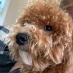 nickreardon - @nickreardon19 - Instagram
