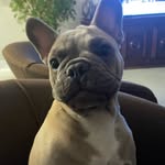 Nick - @nick_rebello - Instagram