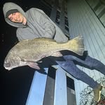 Nicholas Remy - @nick__remy20 - Instagram
