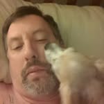 Nick Rhoades - @nepfan4life - Instagram