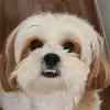 nick_ricci - @nick_ricci - TikTok