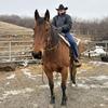 Nick ring - @cowboyshit6666 - TikTok