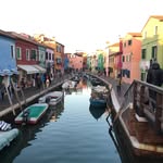 Nick Rini - @nick_rini - Instagram