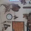Nick Ritter - @nick.ritter8 - TikTok