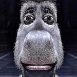Nick? - @nick.robey - Instagram