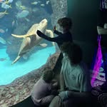 Nicholas Churak - @nickrocks927 - Instagram