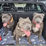 Nick Romero - @nickromero0807 - Instagram