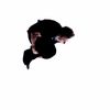 Nick Rowley - @nickrowley - TikTok