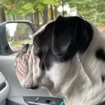 Nick Rucker - @rucker274 - Instagram