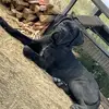 Nick Russ - @nick.russ50 - TikTok