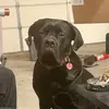 Nick Russ - @nick.russ7 - TikTok