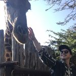 Nick Rutledge - @_nick_rutledge_ - Instagram