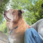 Nick Rutledge - @nick_rutledge - Instagram
