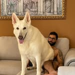 nicksandhu - @nicksandhu - Instagram