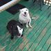 Nick Saraceni - Facebook