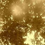Nick Scarpa - @themagikgoat4993 - Instagram