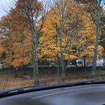 Nick scarpati - @nickscarpati - Instagram
