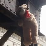 Nick Scheer - @nick.scheer.509 - Instagram
