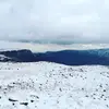 nickscheer55 - @nickscheer55 - TikTok