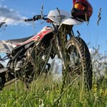 Nico Schneck - @nico.schneck - Instagram