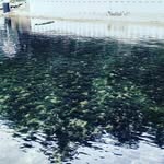 Nick Schrock - @n.schrock23 - Instagram