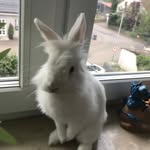 Nick Schuhmacher - @nick.schuhmacher2010 - Instagram