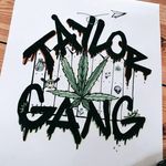 Nick Schuster - @i_am_schuster - Instagram