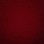 Nick Sciarrone - @hiddenfreak - Instagram