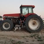 Nick Scotto - @nickscotto84 - Instagram