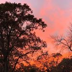 Nicholas Seabolt - @njs__photos - Instagram