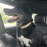 Nick Seager - @nsseager26 - Instagram