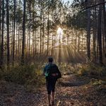 Nick Seale - @sealenick - Instagram