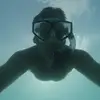 Nick Seale - @nick.seale3 - TikTok