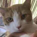 Nick Seals - Facebook