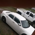 nick seals - @wow_this_nick - Instagram