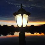 Nick Seals - @nick.seals - Instagram