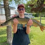 Nick Sefton - @nicksefton02 - Instagram