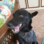 Nick Seger - @that1guy223244 - Instagram