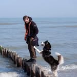 Nick Segers - @nicksegers17 - Instagram