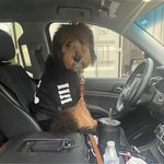 Nick Seitz - @nick.seitz.31 - Instagram