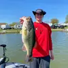Seitz.Nick - @seitz.nick - TikTok