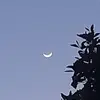 lily - @nick.sell - TikTok