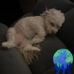 Nick Sells - Facebook