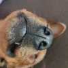 Nick & Sergio - @sobakon - TikTok