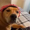 Nick Shockley - @nick.shockley8 - TikTok