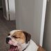 Nick Shafer - Facebook