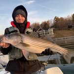Nick Shane - @nickshane999 - Instagram